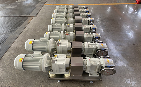 3RP Series Rotary Lobe Pump